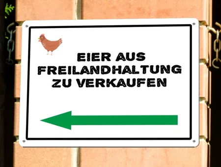 Wegweiser Eier aus Freilandhaltung Bild