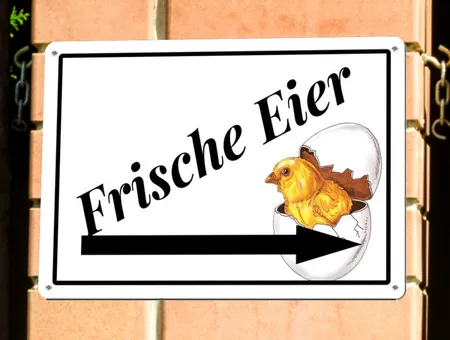 Wegweiser Frische Eier Bild