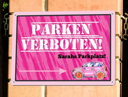 Wegweiser Parken verboten! Bild